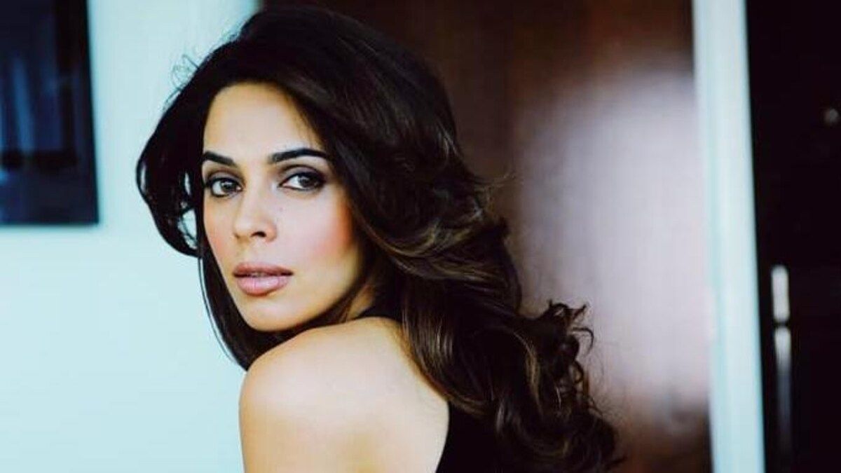 Mallika Sherawat, the popular Bollywood actress, delivers a powerful response to a troll who accuses her films of being responsible for the growing incidents of crime against women in India. Sherawat firmly addresses the issue, stating that such a mentality perpetuates regressive attitudes in society. Discover how she shuts down the criticism and stands up for women's rights.