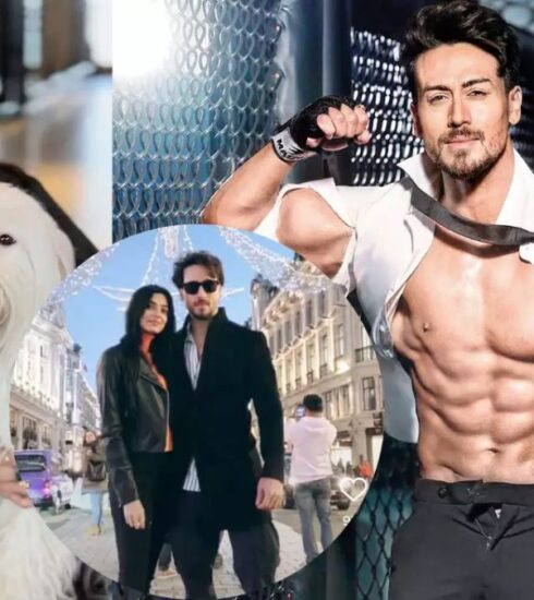 After his rumored breakup with Disha Patani, Tiger Shroff is making headlines for a new romance. Discover the latest reports about Tiger's relationship status and who he's reportedly dating now.