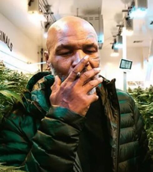 Former boxer Mike Tyson is making headlines with his £500K/month cannabis business. Discover how he's turning a legal drug farm into a 418-acre weed-themed resort that could rival Coachella, and even starting a university for aspiring cannabis cultivators.