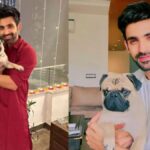 In an exclusive for International Dog Day 2024, Arjit Taneja shares how his pet dog Simba brings joy and light into his life, calling him "the sunshine of my life."