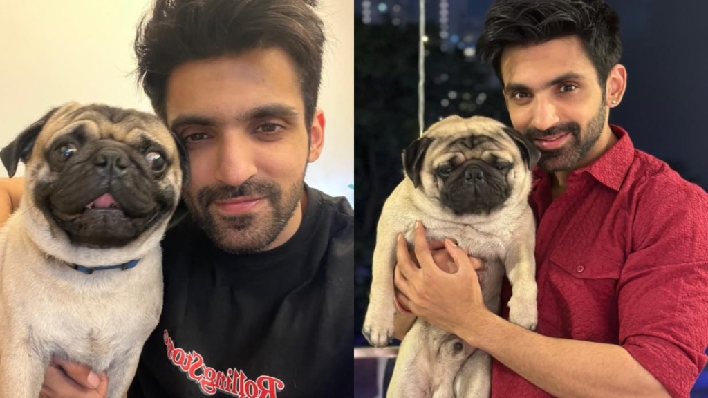 In an exclusive for International Dog Day 2024, Arjit Taneja shares how his pet dog Simba brings joy and light into his life, calling him "the sunshine of my life."





