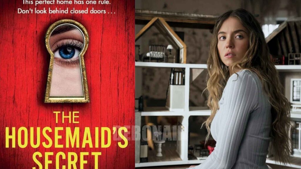 the housemaid's secret