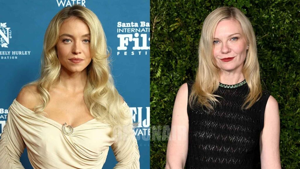 the housemaid's secret